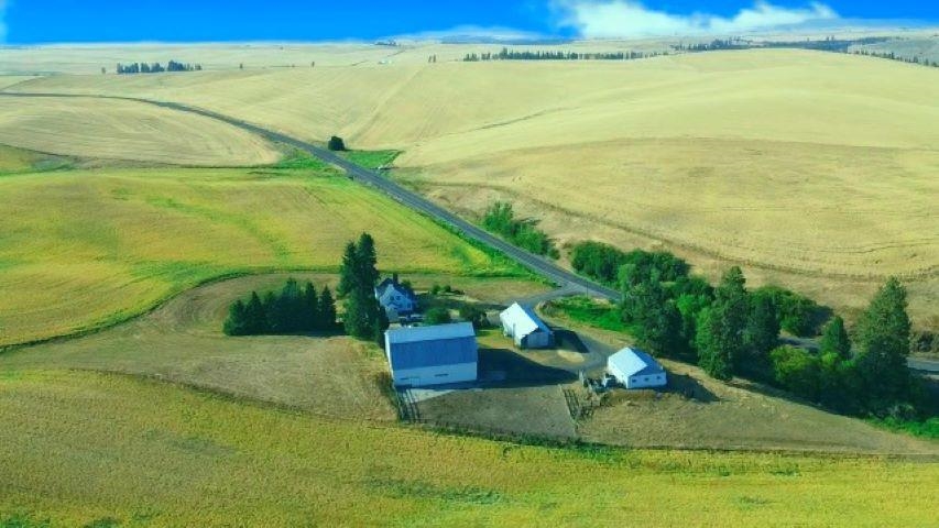 10611 East Spangle Waverly Road Spangle, WA 99031 - Photo 31 of 33