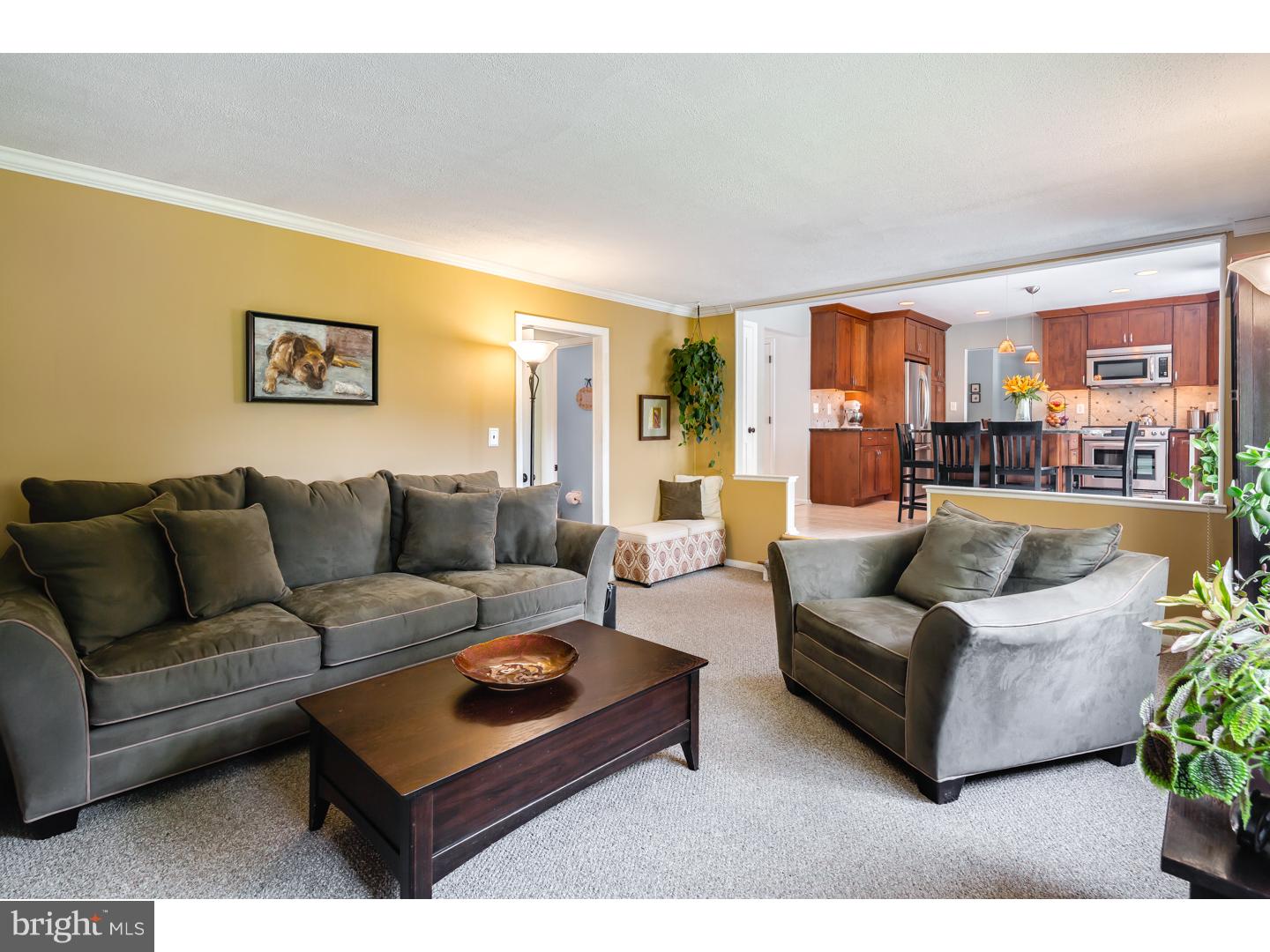 29 Hamilton Road Marlton, NJ 08053 - Photo 9 of 24 Gallery Image 9