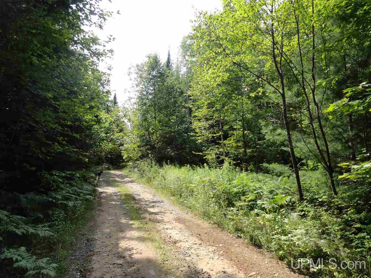 40-acres 40-acres Co Road Ishpeming, MI 49849 - Photo 26 of 36