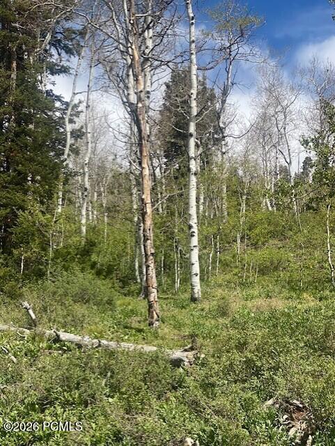 1798 West Alexander Canyon Road Coalville, UT 84017 - Photo 7 of 13