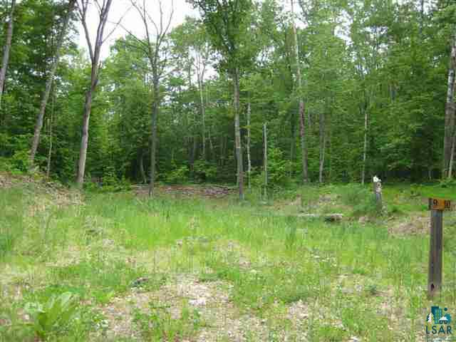Lot 9 Mckenzie Road Spooner, WI 54801 - Photo 2 of 6 Gallery Image 2