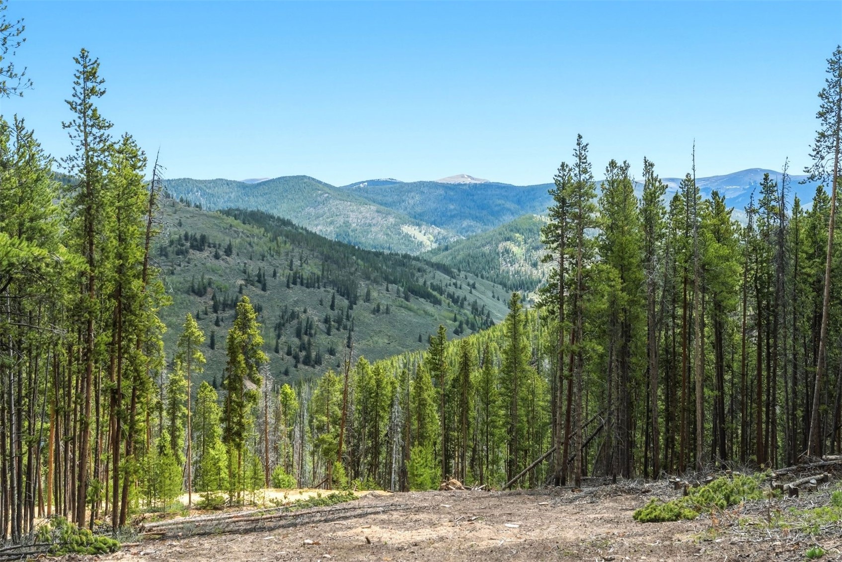 653 Summit Gulch Road Breckenridge, CO 80424 - Photo 12 of 18