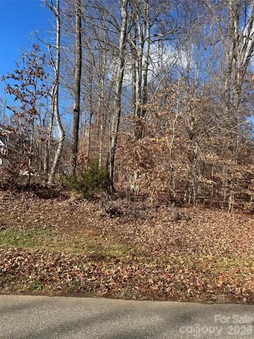 a view of a yard with trees