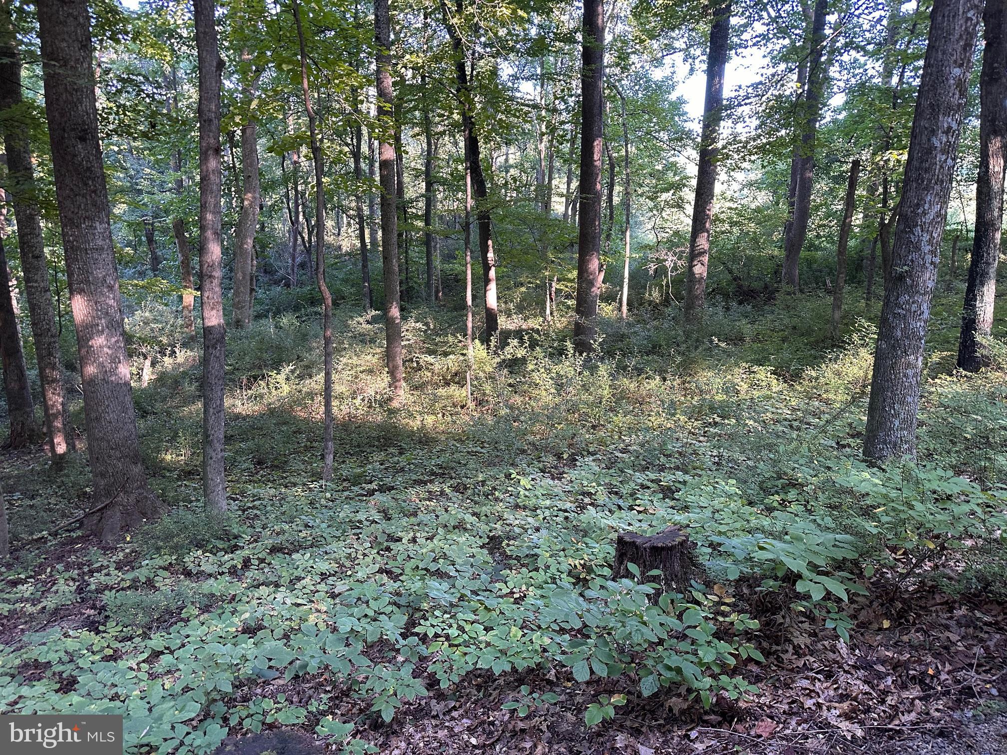 0 Mountainside Road Berkeley Springs, WV 25411 - Photo 1 of 9 Gallery Image 1