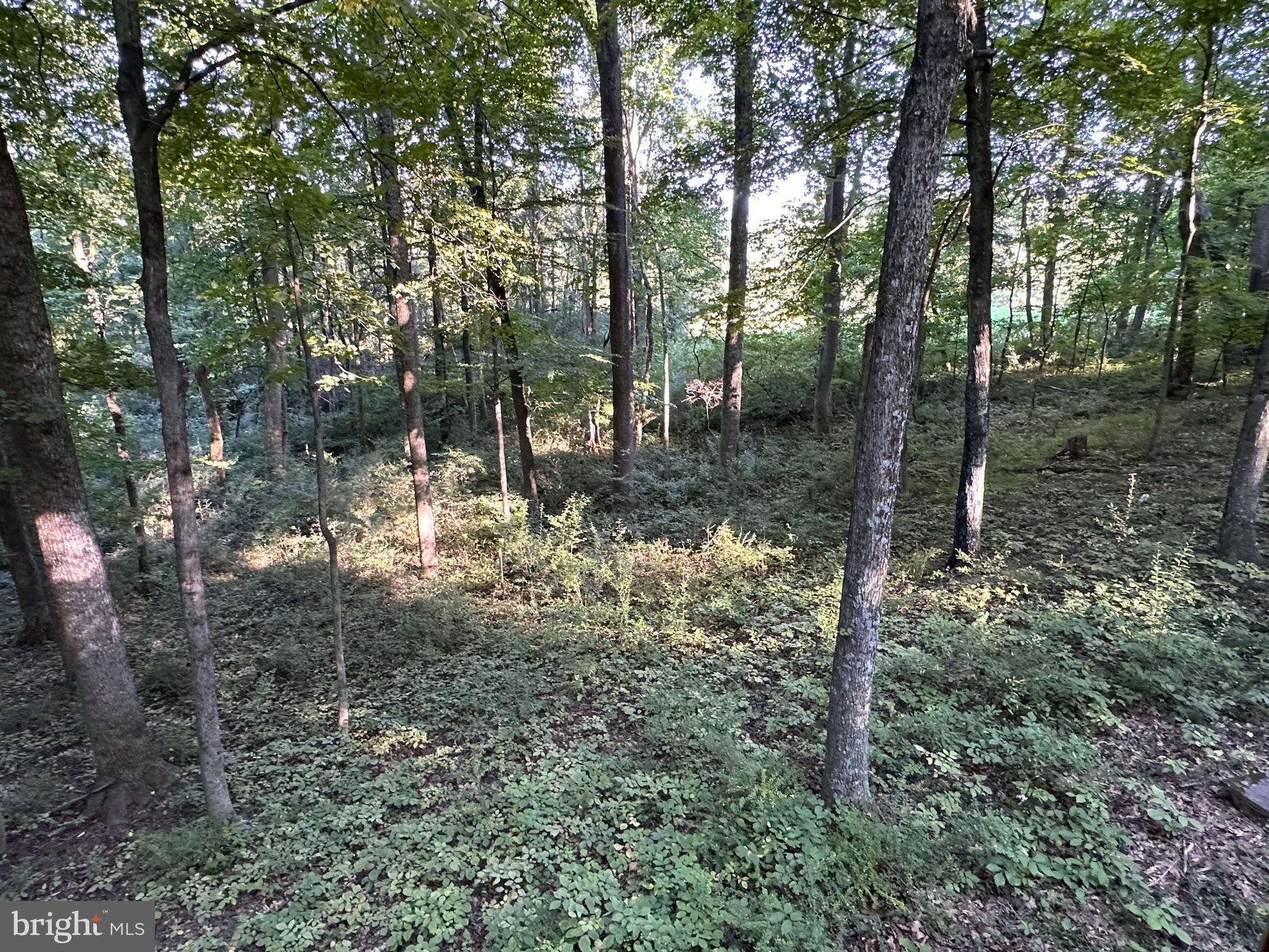 0 Mountainside Road Berkeley Springs, WV 25411 - Photo 4 of 9 Gallery Image 4
