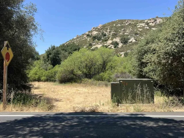 a view of a park with large trees