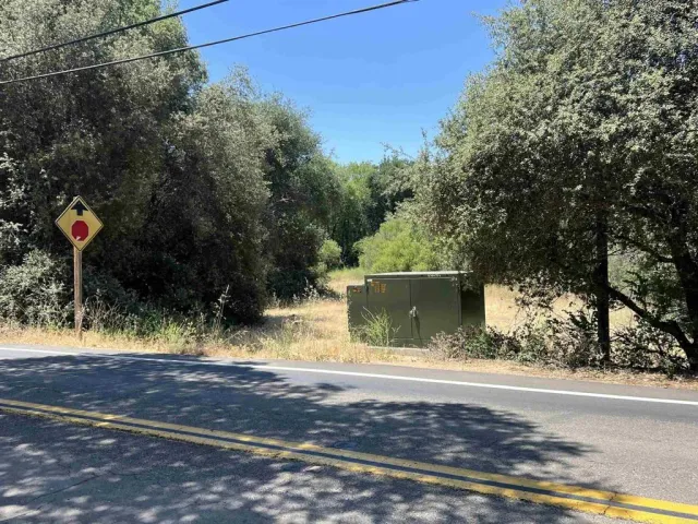 a view of a field with a tree