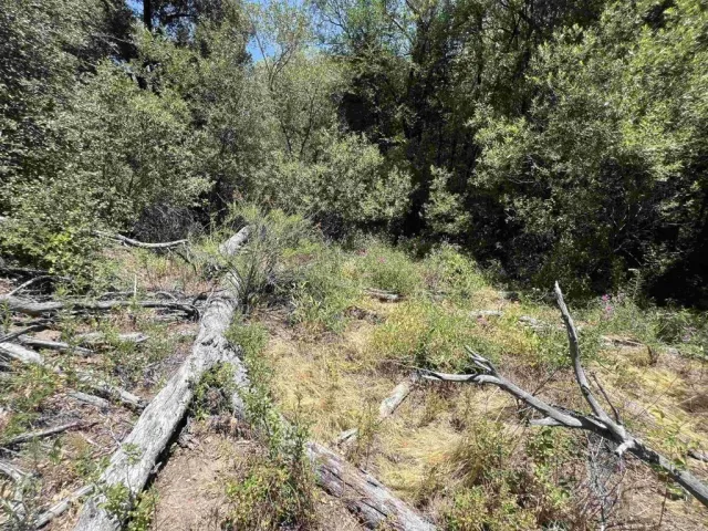 a view of a yard with wooden fence