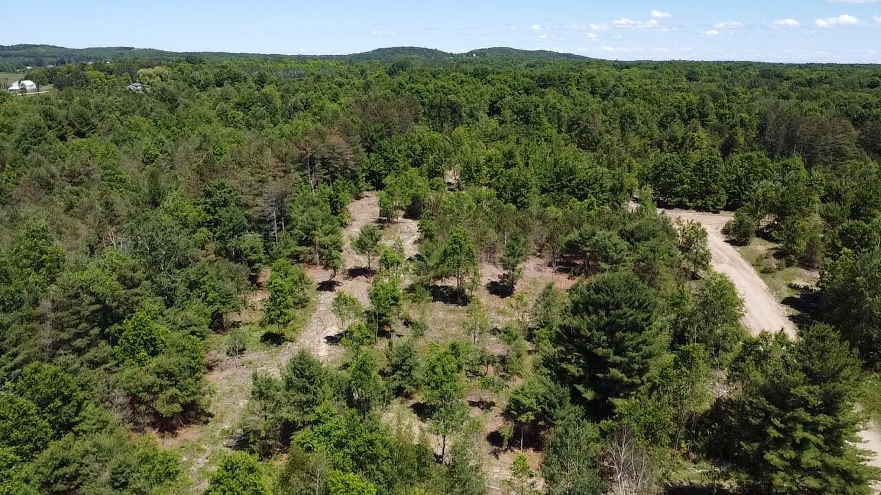 7.91-acres Butwell Road Bear Lake, MI 49614 - Photo 5 of 22 2026-06-22-15-00-31-425