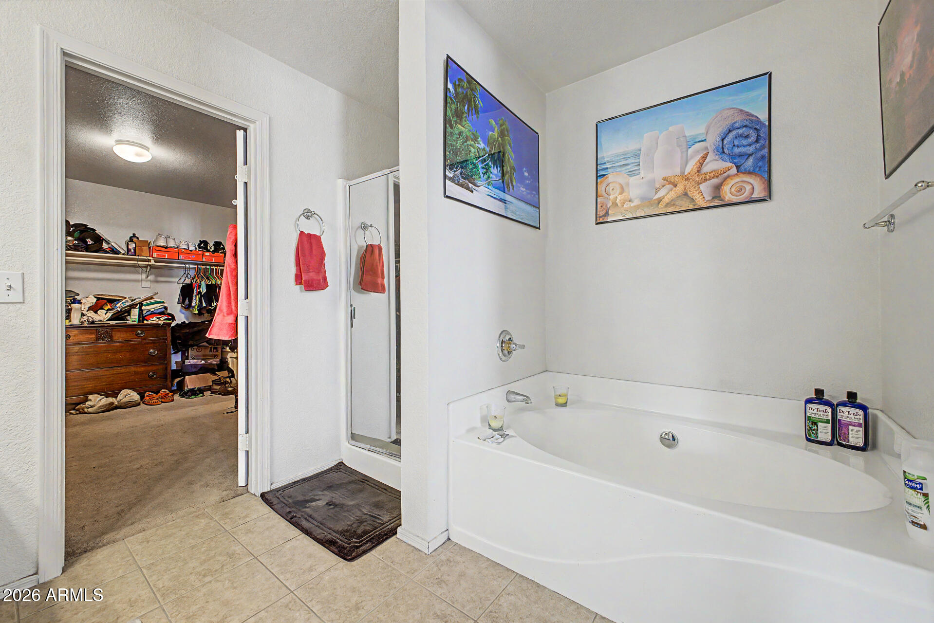 2607 West Bloch Road Phoenix, AZ 85041 - Photo 21 of 34 a bathroom with a bathtub and a shower