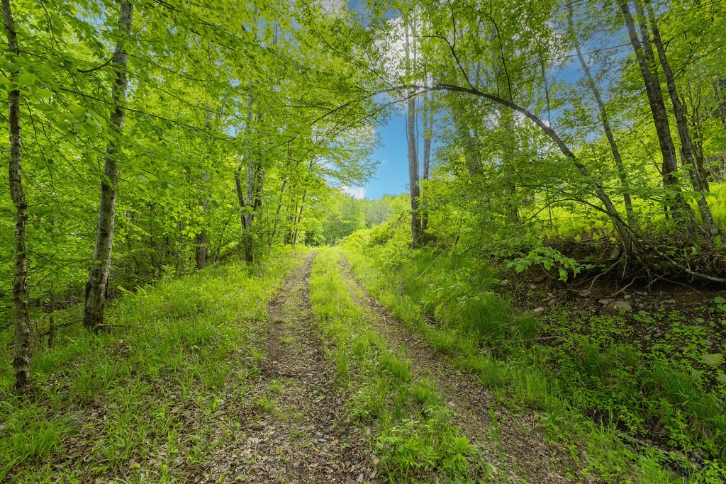 1361 Weaver Hollow Road Andes, NY 12455 - Photo 6 of 23