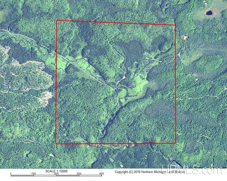 640-acres Peshekee Grade Road Skanee, MI 49946 - Photo 36 of 37