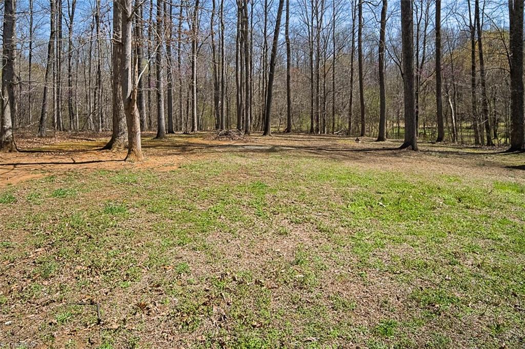 6668 Beaver Ridge Court Snow Camp, NC 27349 - Photo 10 of 38