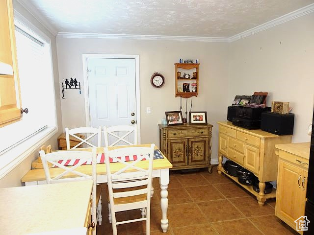 4040 Dingle Road Dingle, ID 83233 - Photo 4 of 47