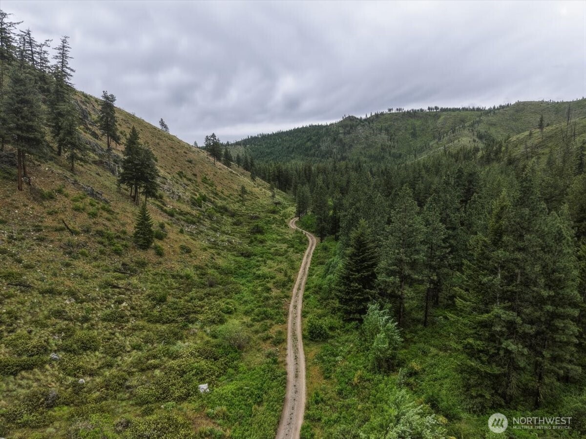 0 Washington Creek Road Chelan, WA 98816 - Photo 21 of 29 a view of a city with lush green forest