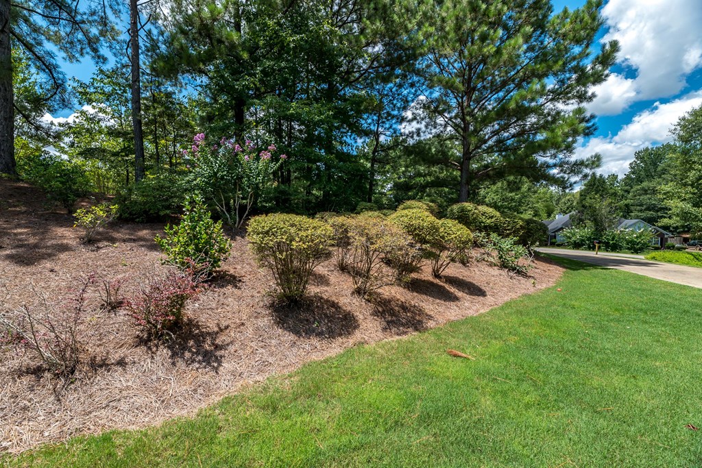 317 Ridgeway Drive Cataula, GA 31804 - Photo 3 of 29 Gallery Image 3
