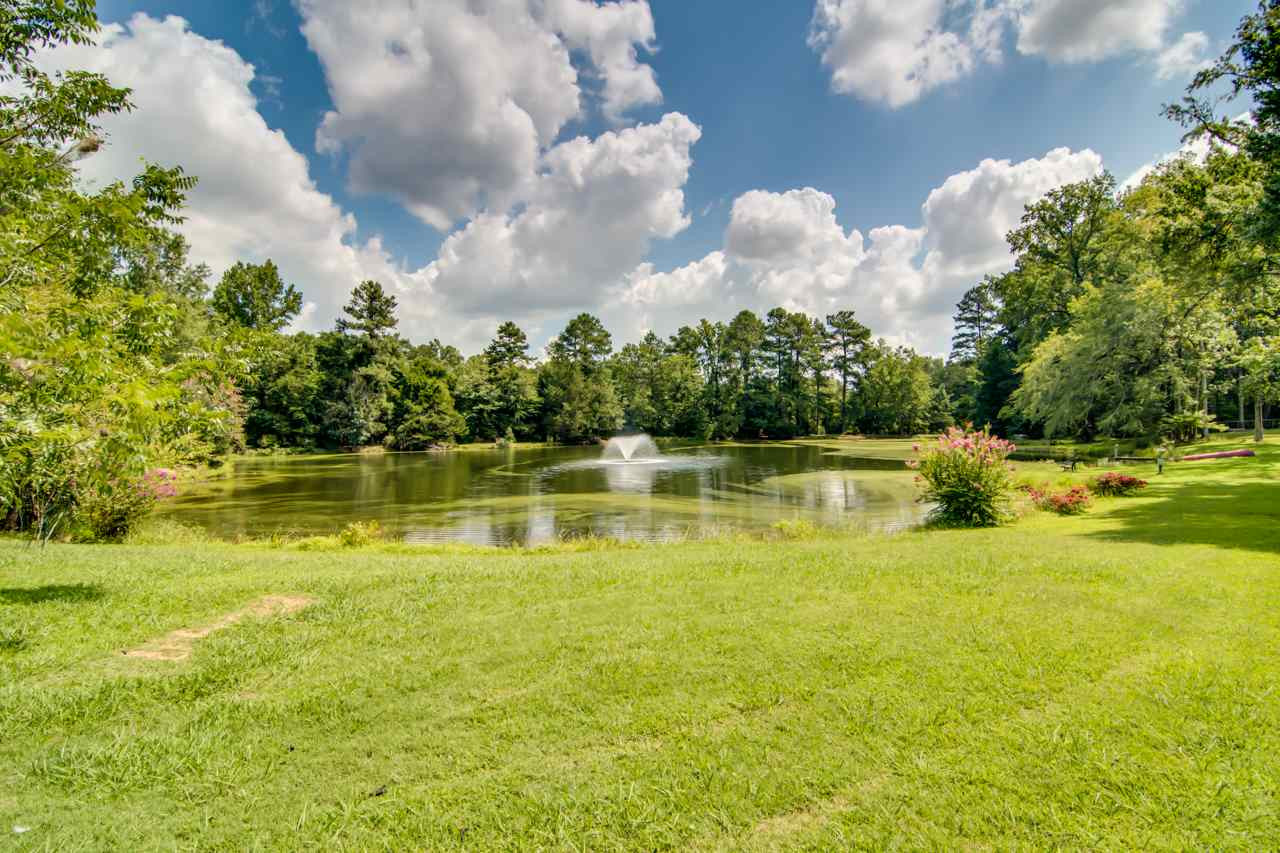 321 Latta Road Durham, NC 27712 - Photo 4 of 28 Pond