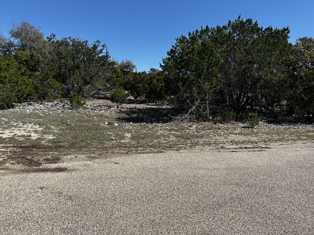 570 Ranch Rim Drive West Hunt, TX 78024 - Photo 2 of 5