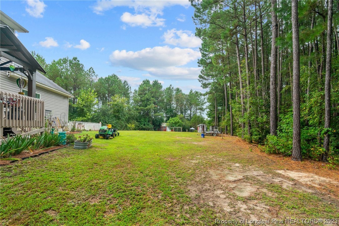 376 Tactical Drive Bunnlevel, NC 28323 - Photo 32 of 46 a view of a backyard with garden