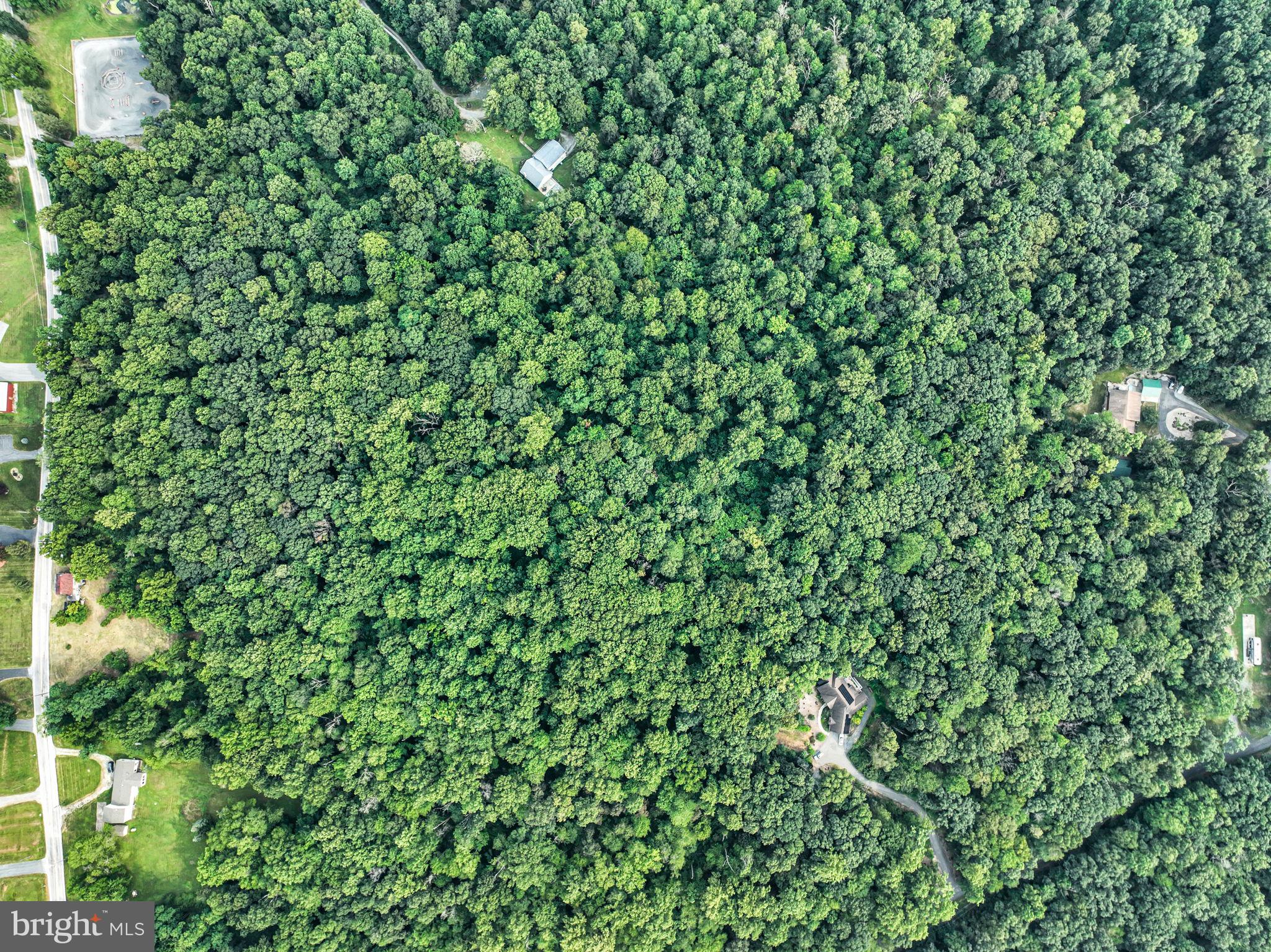 867 Pinetown Road Lewisberry, PA 17339 - Photo 8 of 18 a view of a lush green field