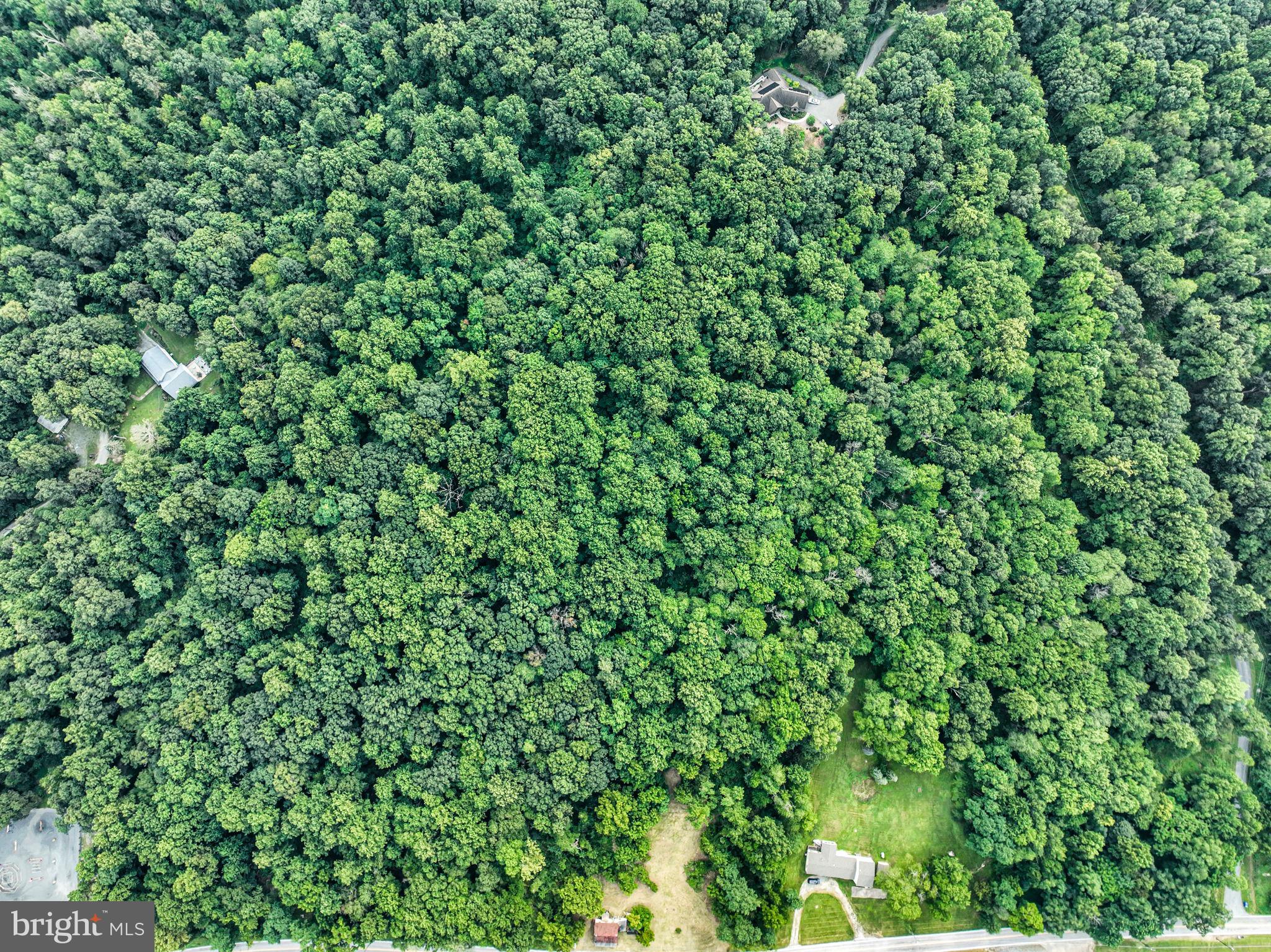 867 Pinetown Road Lewisberry, PA 17339 - Photo 9 of 18 a view of a lush green forest
