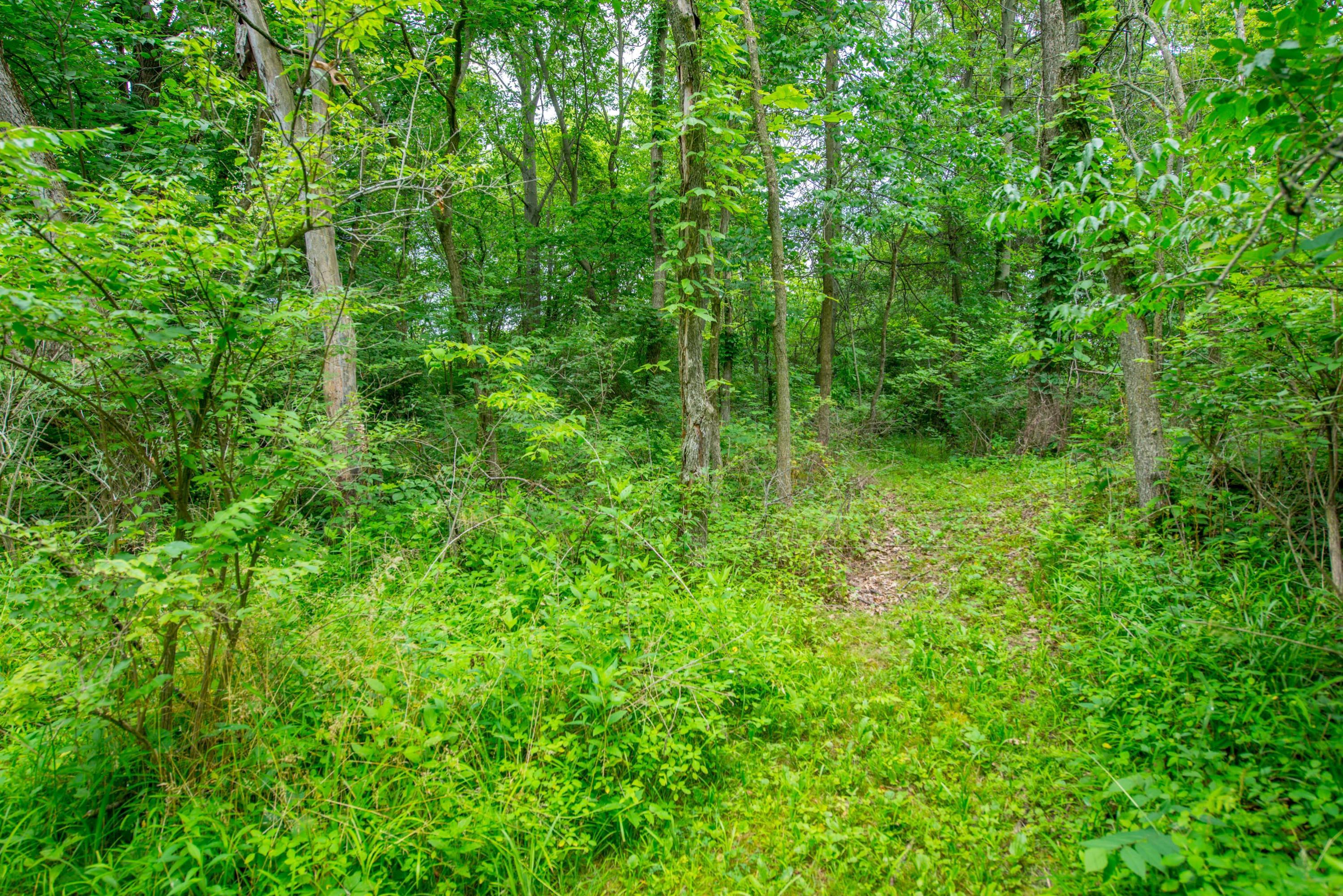 2965 Russell Road Ostrander, OH 43061 - Photo 41 of 42
