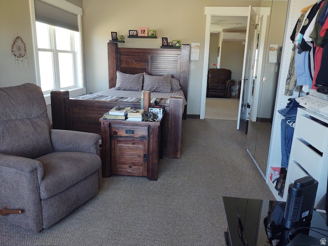 2170 Highway 357 Beaver, UT 84713 - Photo 42 of 56 Carpeted flooring, white trim details, window with roller shade, and built-in closet shelving