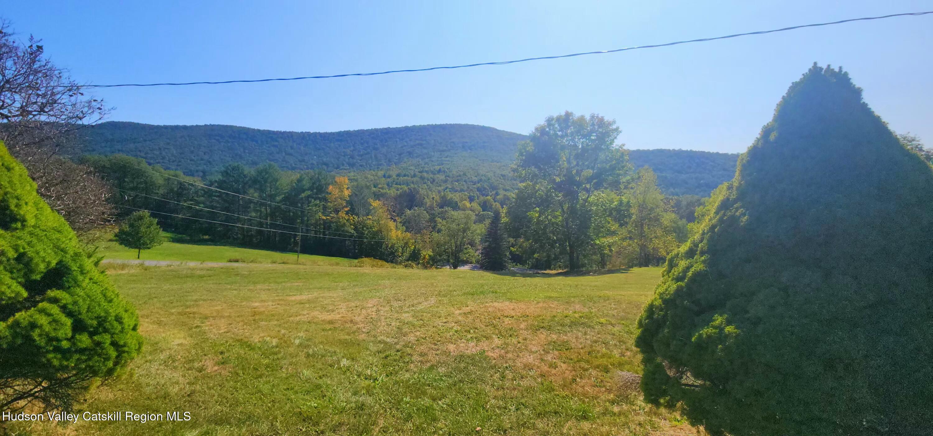19 Pond View Road Ashland, NY 12468 - Photo 20 of 37 a view of a yard