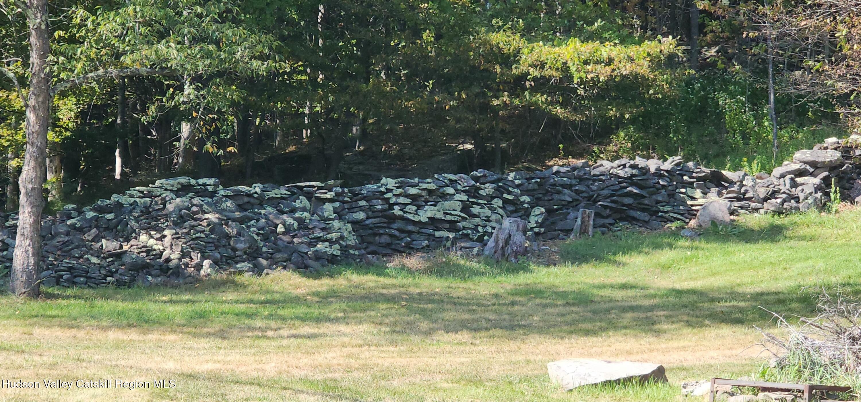 19 Pond View Road Ashland, NY 12468 - Photo 29 of 37 a view of a yard with a tree