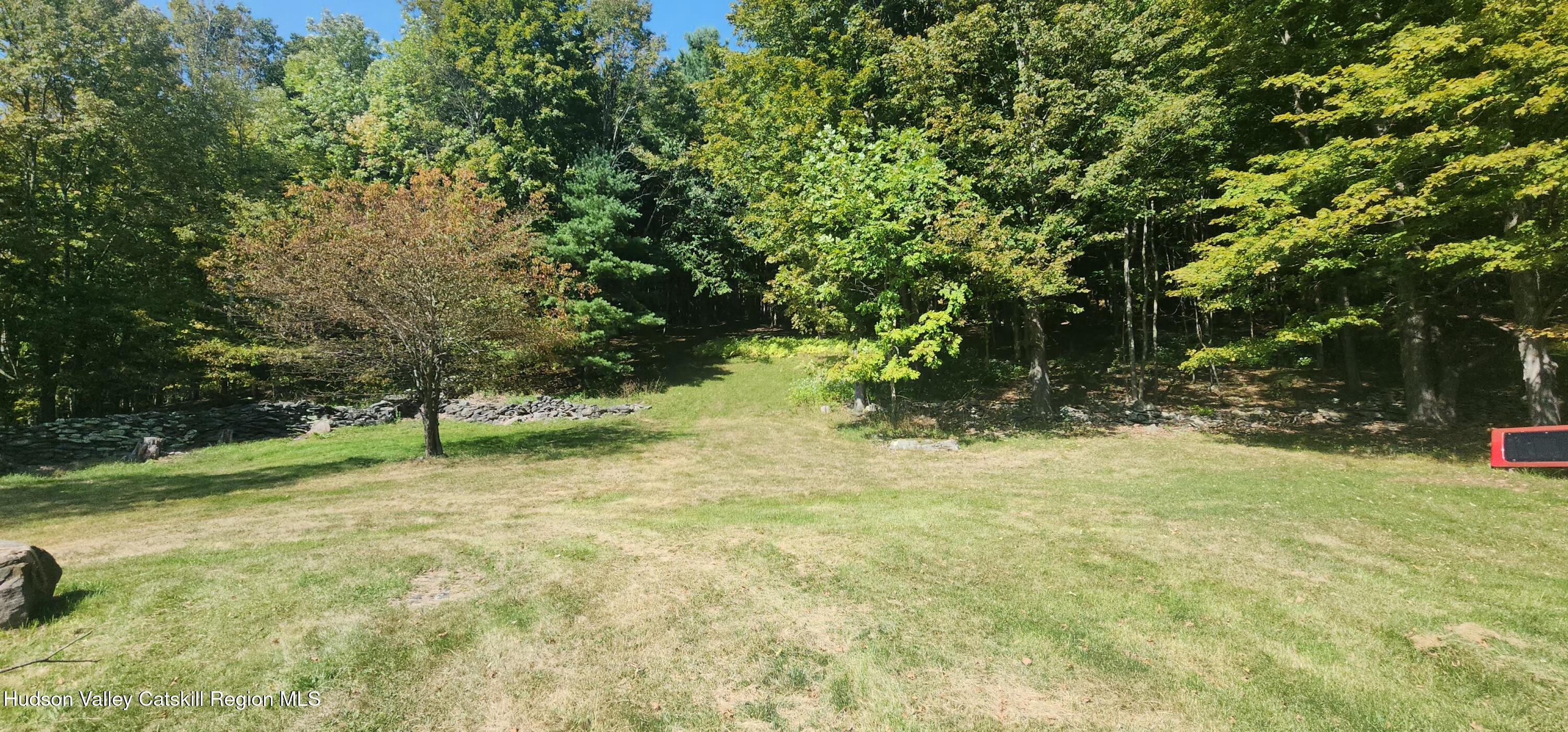 19 Pond View Road Ashland, NY 12468 - Photo 34 of 37 a fire hydrant in the middle of a field