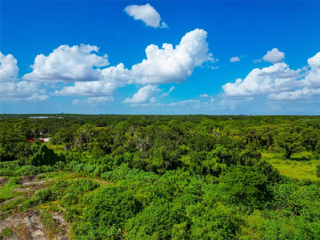 301 E Road Sarasota, FL 34240 - Photo 14 of 32 a view of a bunch of trees in the background