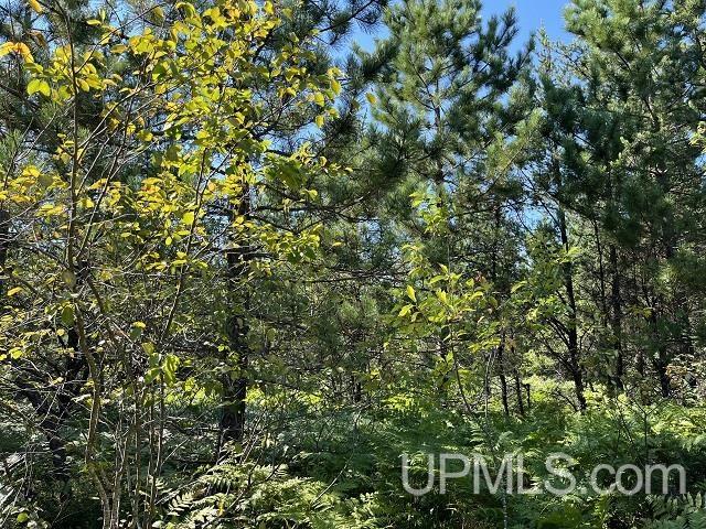 Tbd 54-acres Tbd 54-acres Rice Lake Road Gwinn, MI 49841 - Photo 7 of 11
