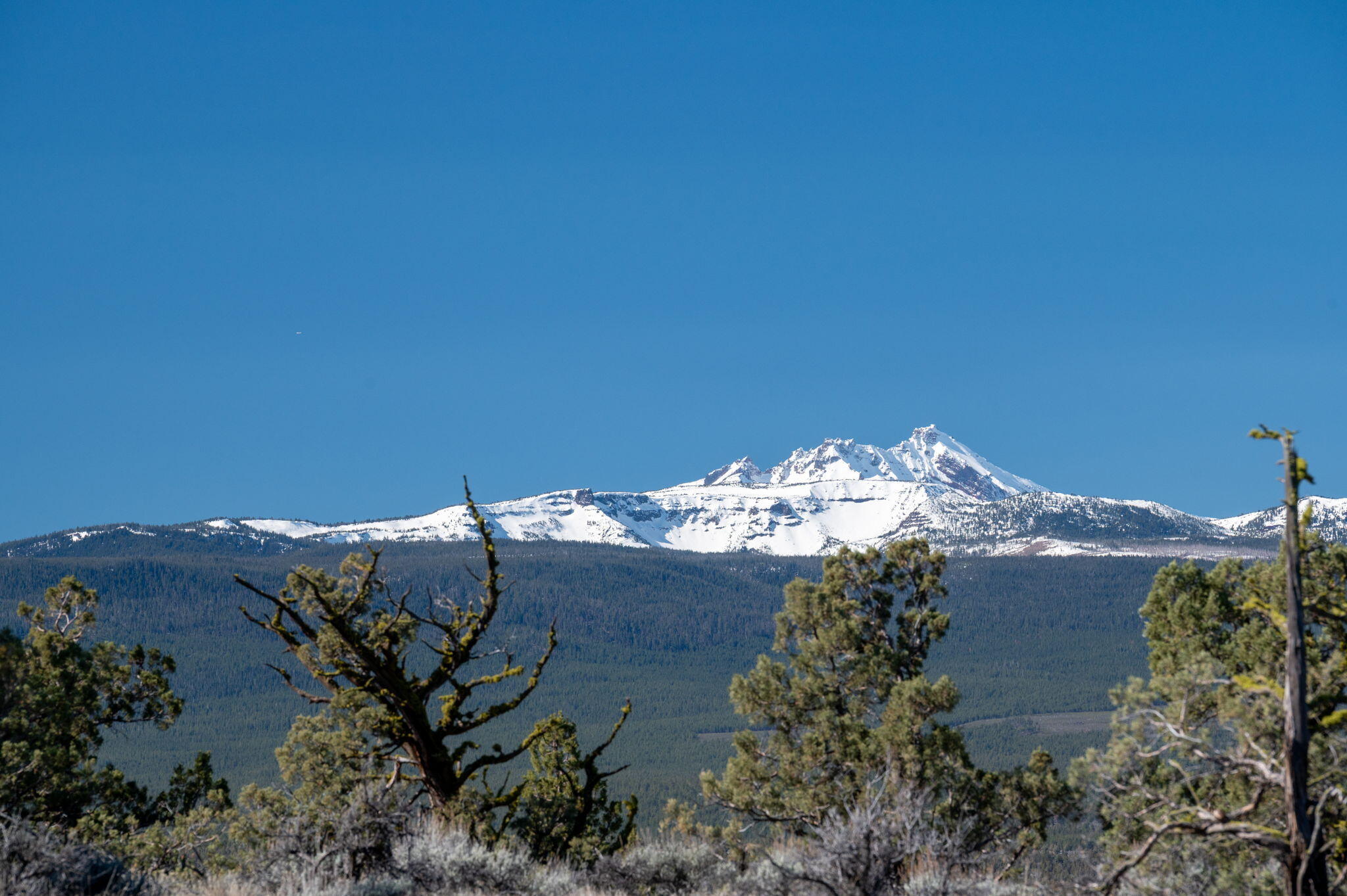 19040 Dusty Loop Bend, OR 97703 - Photo 5 of 27
