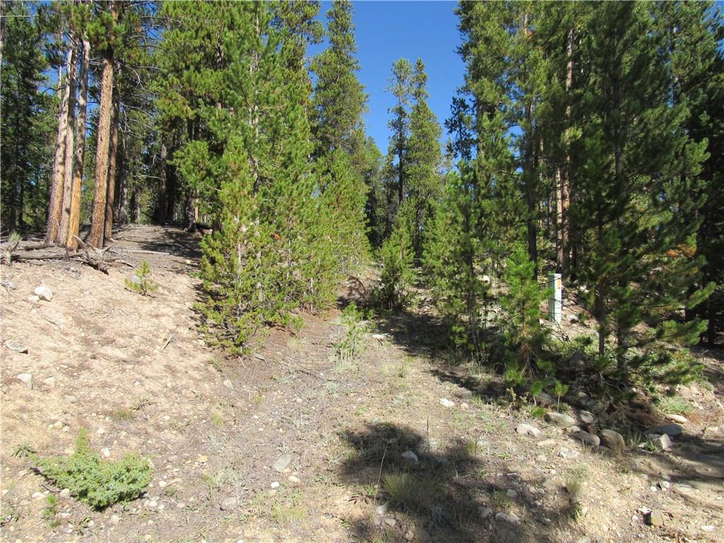 25 South Forty Road Fairplay, CO 80440 - Photo 11 of 35 Gallery Image 11