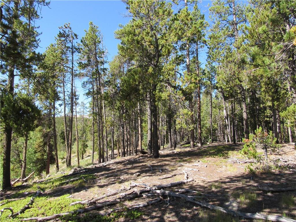 25 South Forty Road Fairplay, CO 80440 - Photo 13 of 35 Gallery Image 13