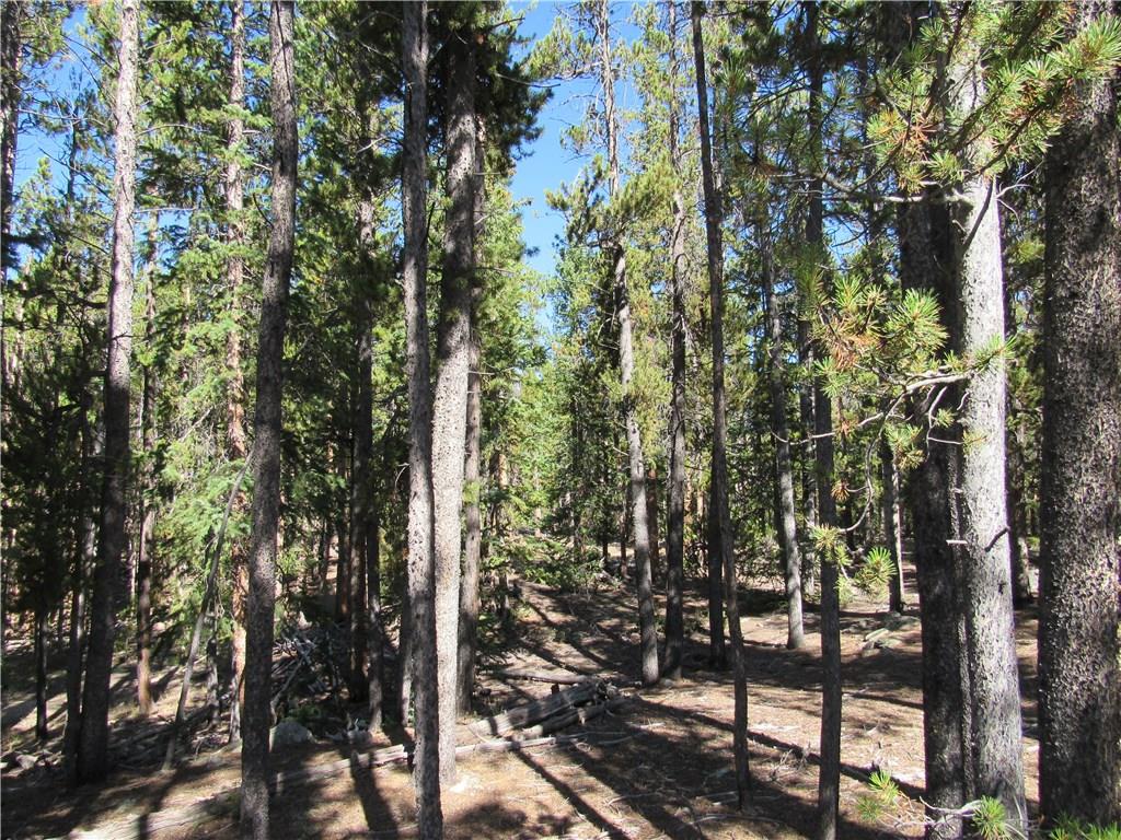 25 South Forty Road Fairplay, CO 80440 - Photo 17 of 35 Gallery Image 17