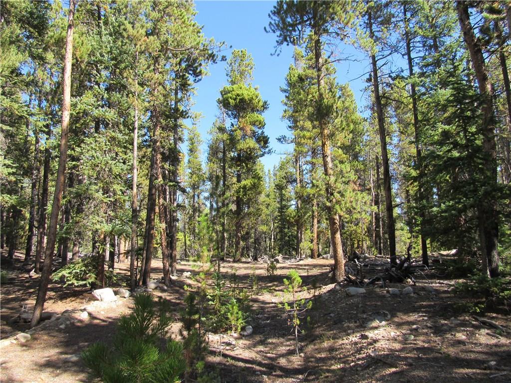 25 South Forty Road Fairplay, CO 80440 - Photo 20 of 35 Gallery Image 20