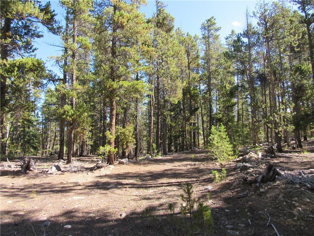 25 South Forty Road Fairplay, CO 80440 - Photo 21 of 35 Gallery Image 21