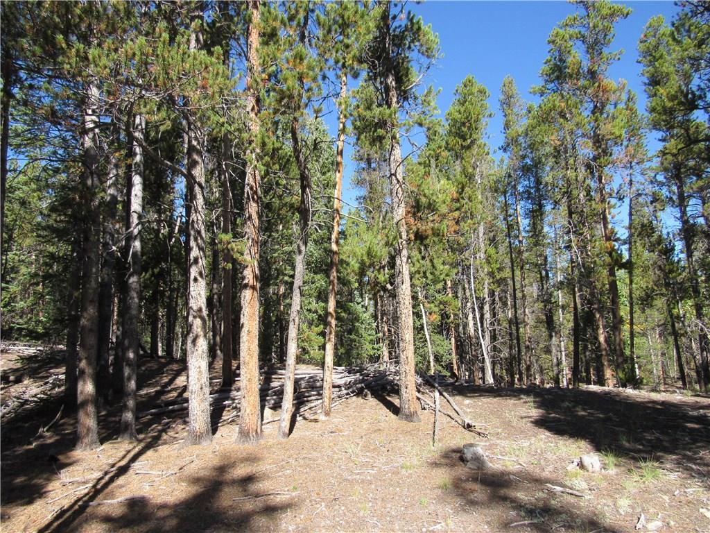 25 South Forty Road Fairplay, CO 80440 - Photo 22 of 35 Gallery Image 22