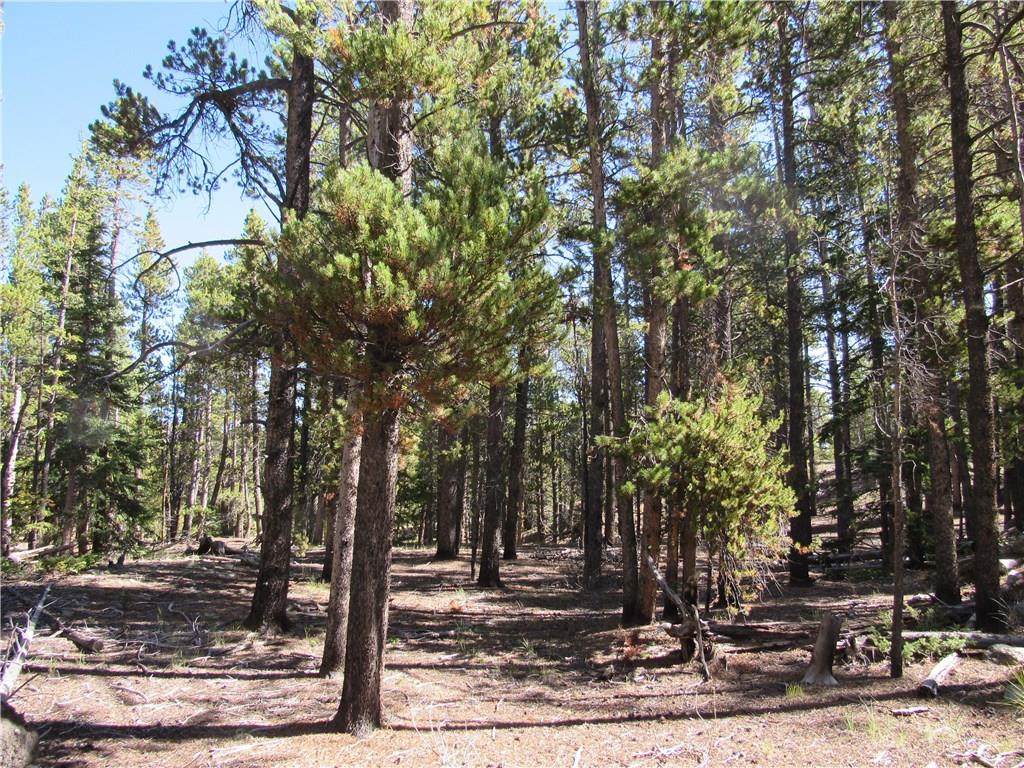 25 South Forty Road Fairplay, CO 80440 - Photo 23 of 35 Gallery Image 23
