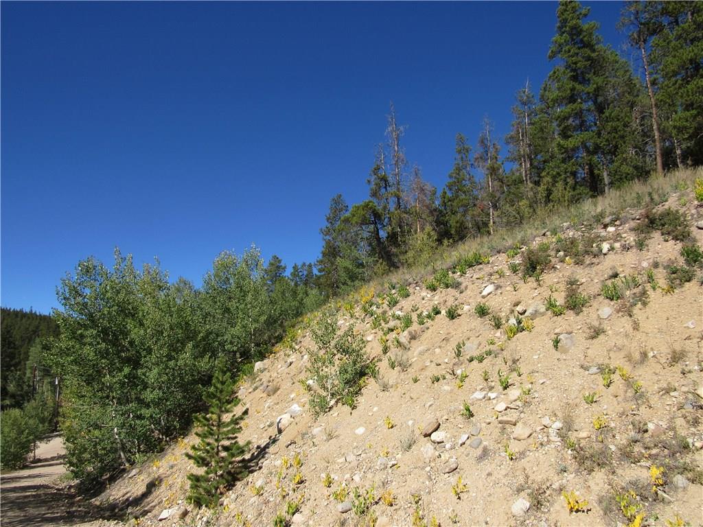 25 South Forty Road Fairplay, CO 80440 - Photo 24 of 35 Gallery Image 24