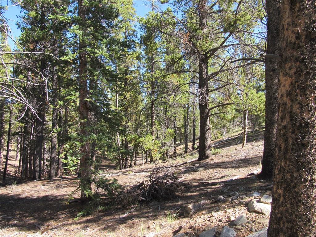 25 South Forty Road Fairplay, CO 80440 - Photo 26 of 35 Gallery Image 26
