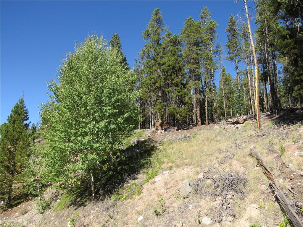 25 South Forty Road Fairplay, CO 80440 - Photo 28 of 35 Gallery Image 28