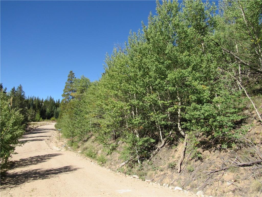 25 South Forty Road Fairplay, CO 80440 - Photo 29 of 35 Gallery Image 29
