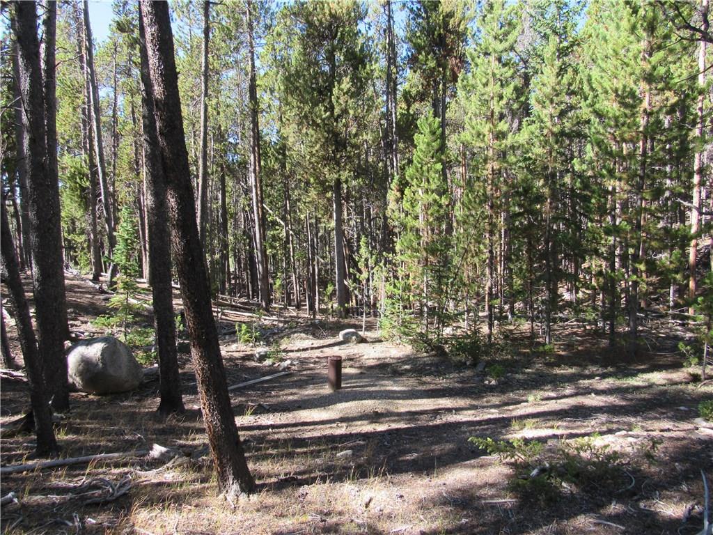 25 South Forty Road Fairplay, CO 80440 - Photo 30 of 35 Gallery Image 30