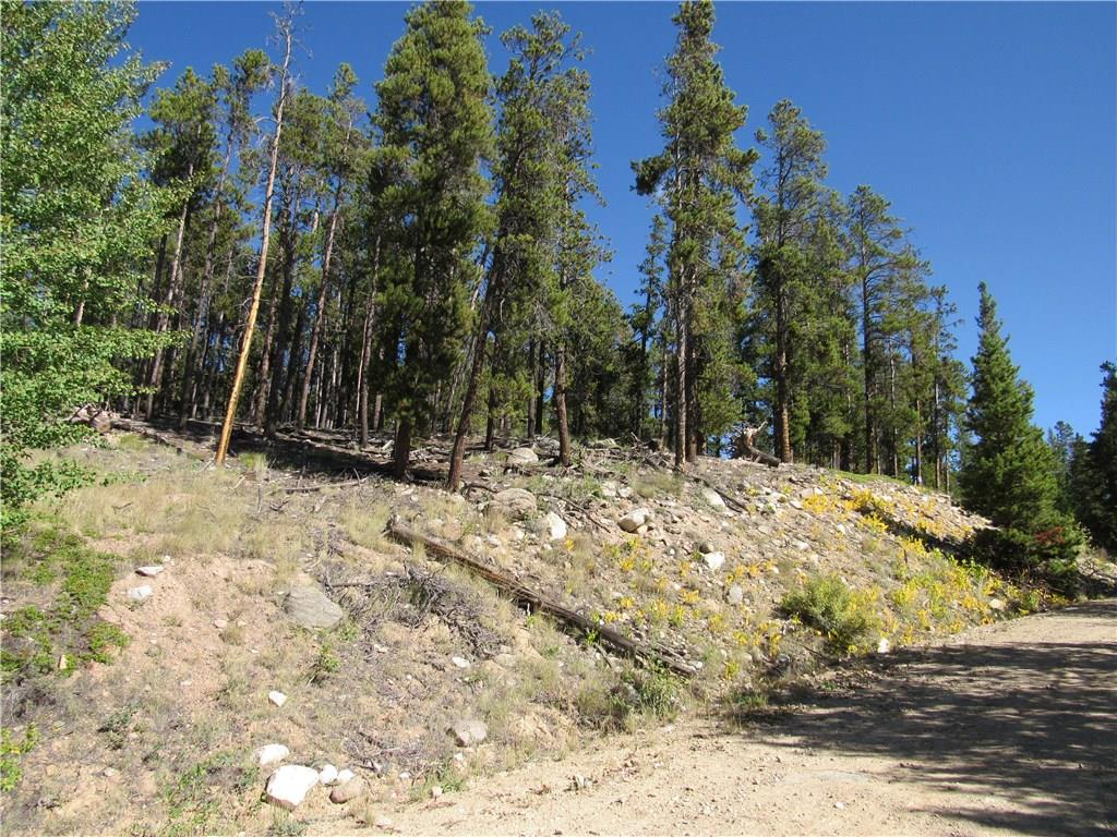 25 South Forty Road Fairplay, CO 80440 - Photo 33 of 35 Gallery Image 33