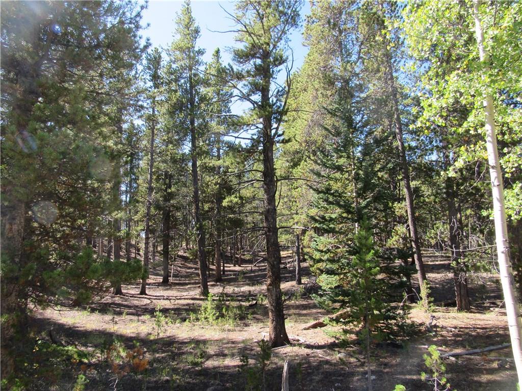 25 South Forty Road Fairplay, CO 80440 - Photo 34 of 35 Gallery Image 34