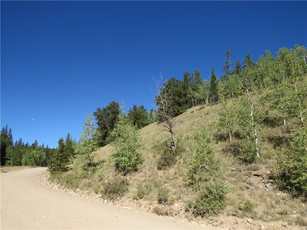 25 South Forty Road Fairplay, CO 80440 - Photo 5 of 35 Gallery Image 5
