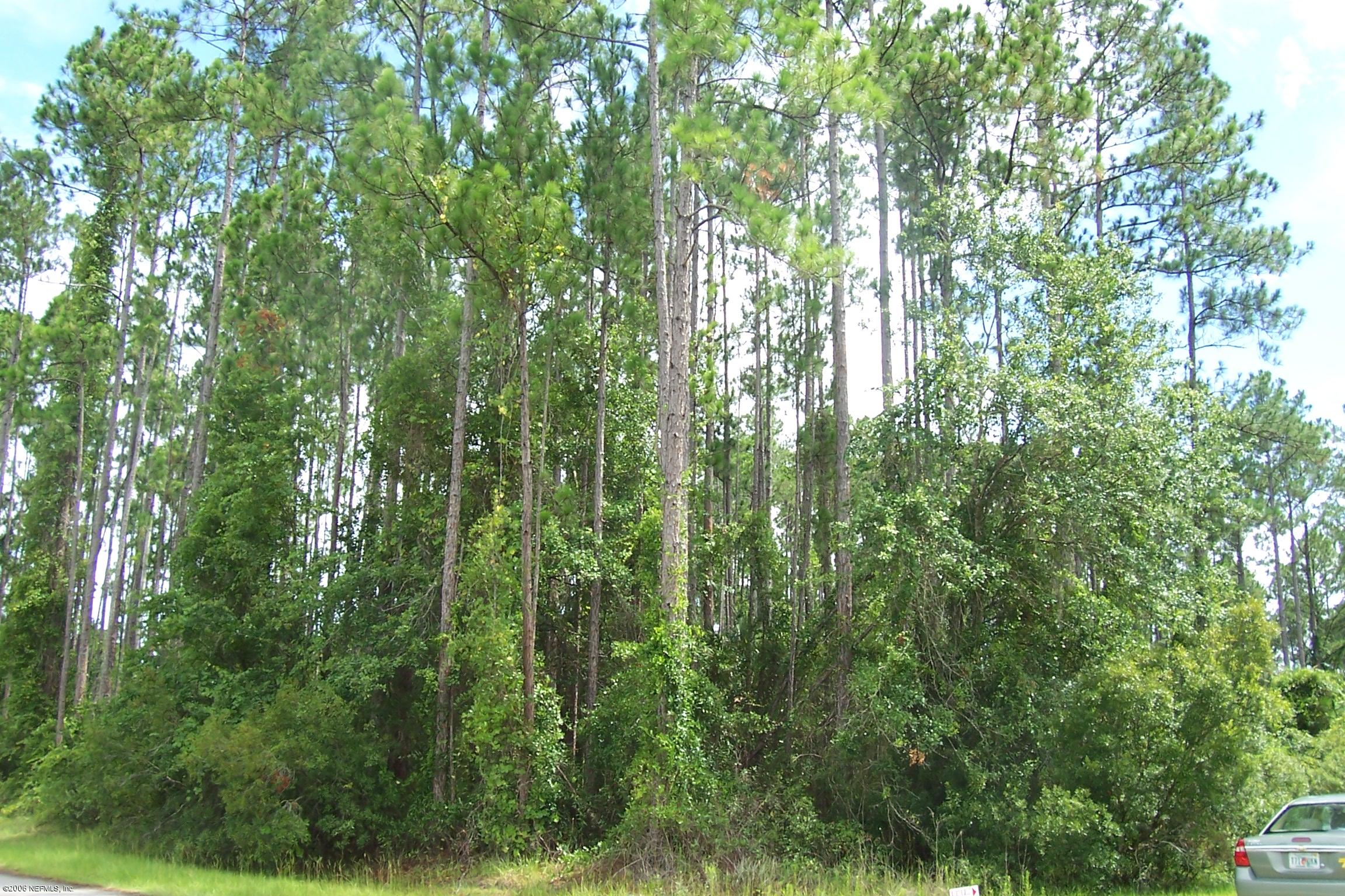123 3rd Street Georgetown, FL 32139 - Photo 4 of 7 Corner 3rd St SE & Georgetown Dr V3