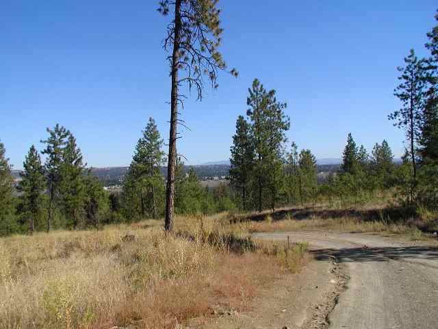6801 West Trails Road Spokane, WA 99224 - Photo 7 of 8